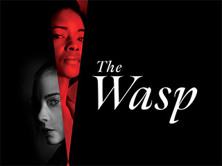 Wasp, The Trailer