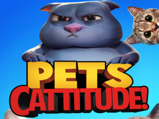 Pets Cattitude!