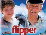 Flipper