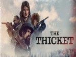 The Thicket