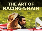 The Art Of Racing In The Rain