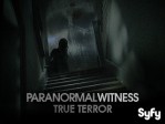 Paranormal W 315