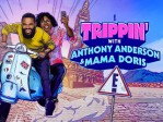 Trippin' Ant 102