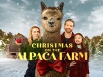 Christmas on the Alpaca Farm