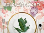 Bogalusa Charm