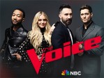 The Voice 2703