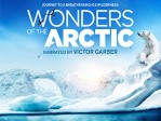 Wonders Of The Arctic