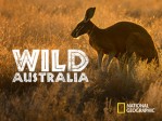 Wild Australia