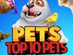 Pets Top 10 Pets