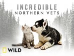 Incredible Northern Vets