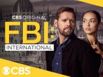 FBI: International 313