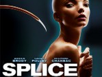 Splice