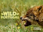 Wild Portugal