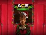 Ace And The Christmas Miracle