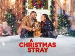 A Christmas Stray S1:Christmas Stray