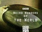 Weird Wonders 201