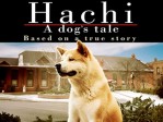 Hachi A Dog's Tale