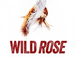 Wild Rose