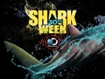 Shark Days S2: Shark's Sleeping Habits