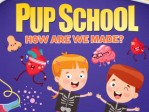 Pup School How Are We Made?