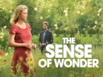 The Sense Of Wonder