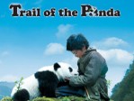 Trail Of The Panda