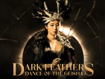 Dark Feathers Dance Of The Geisha