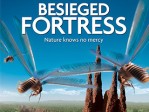 The Besieged Fortress