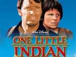 One Little Indian