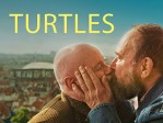 Turtles