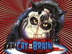 A Cat In The Brain