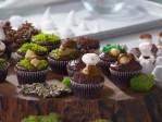 Extra Sweet: Nature Desserts