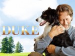 Duke