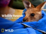 Wildlife Rescue Australia