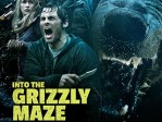 Into The Grizzly Maze