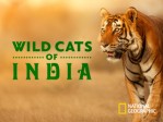 Wild Cats of India