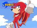 Adventures of Knuckles and Hawk