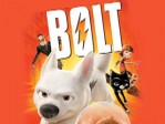 Bolt