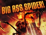 Big Ass Spider!