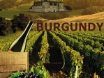 Burgundy People With A Passion For Wine