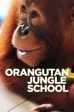 Orangutan Jungle School S2:03