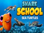 Shark School Sea Turtles