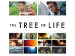 The Tree Of Life