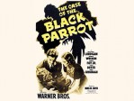 The Case Of The Black Parrot