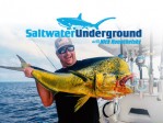 Saltwater Underground With Nick Honachefsky S4:Bonito Bonanza