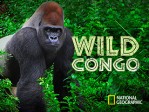 Wild Congo