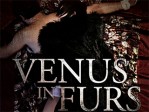 Venus In Furs